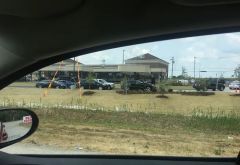 WashCove Car Wash photo 4