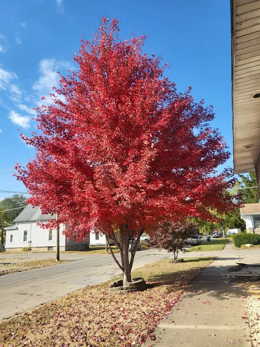 P K Shine Car Wash Picture 4