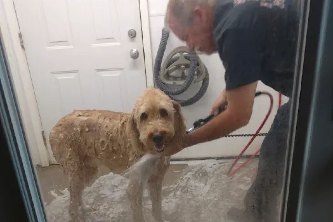 JH Car Wash