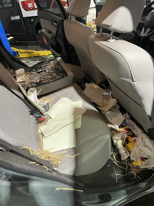 Supreme Detailing Picture 10