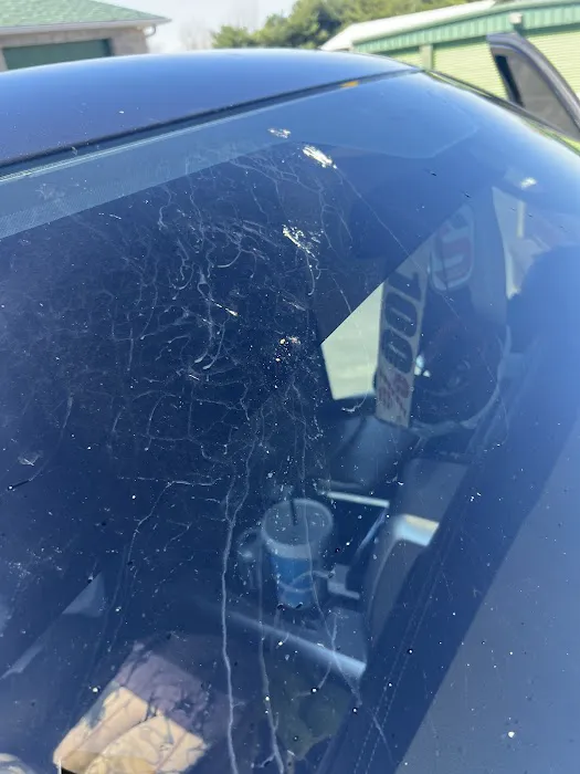 Touch Me Not Car Wash Picture 1