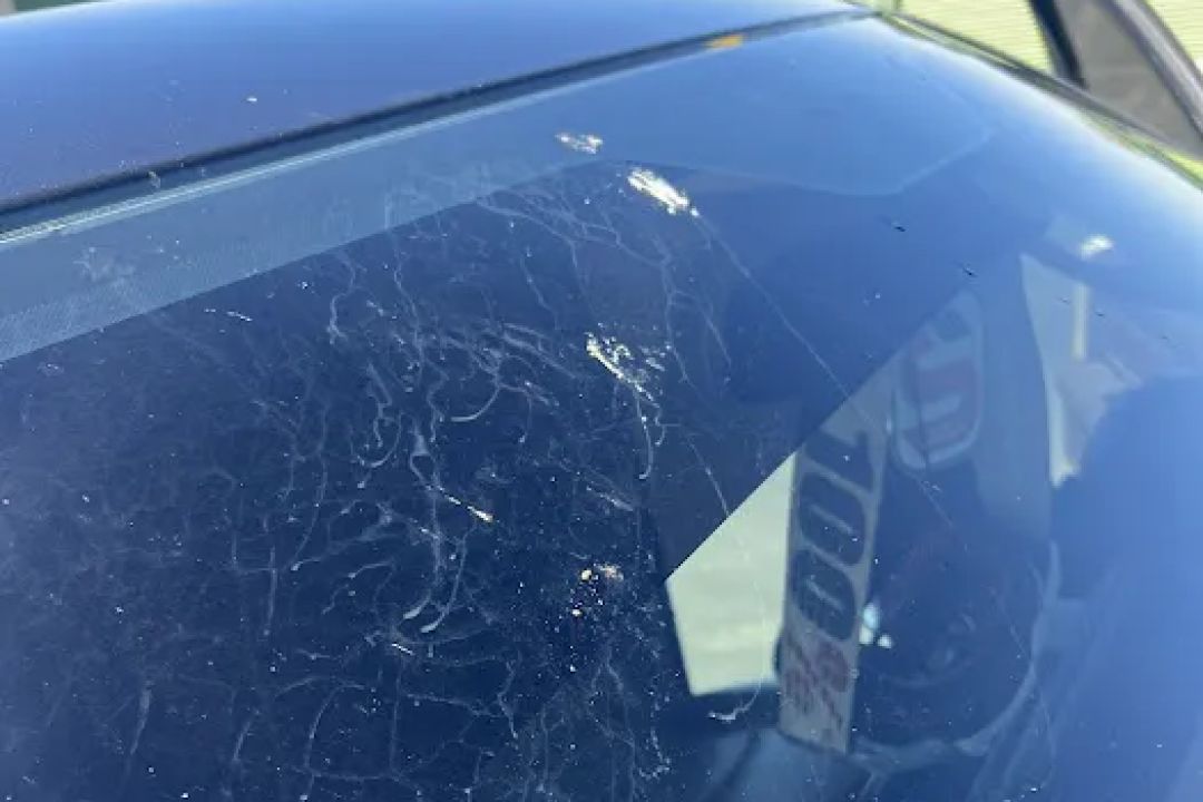 Touch Me Not Car Wash