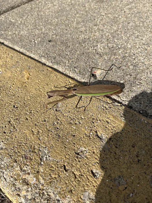 Crew Carwash Picture 3