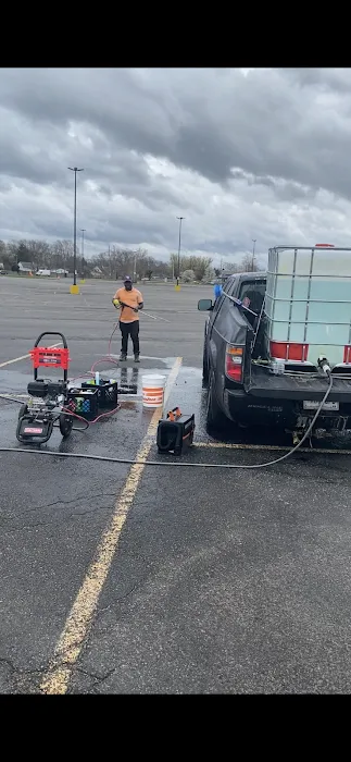 Berry saneus Picture 3