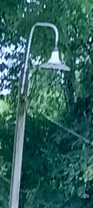 The Car Wash Picture 7