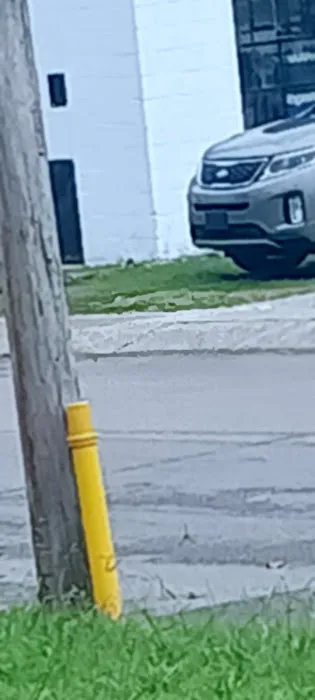 The Car Wash Picture 10