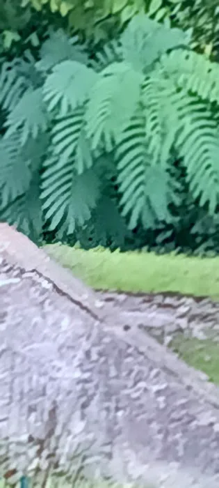 The Car Wash Picture 8