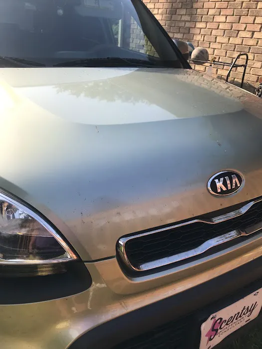 Champion Car Wash Picture 6