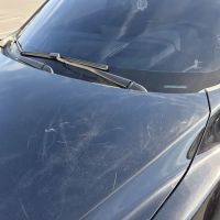 Champion Car Wash ico