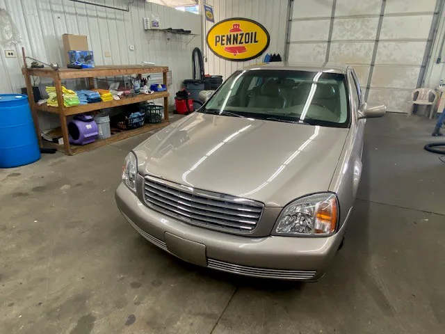 Clean As A Whistle Picture 5