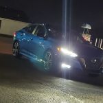 Safari Falls#2 - Car Pool