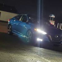 Safari Falls#2 - Car Pool ico