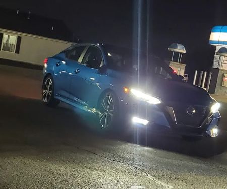 Safari Falls#2 - Car Pool