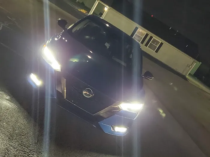 Safari Falls#2 - Car Pool Picture 3