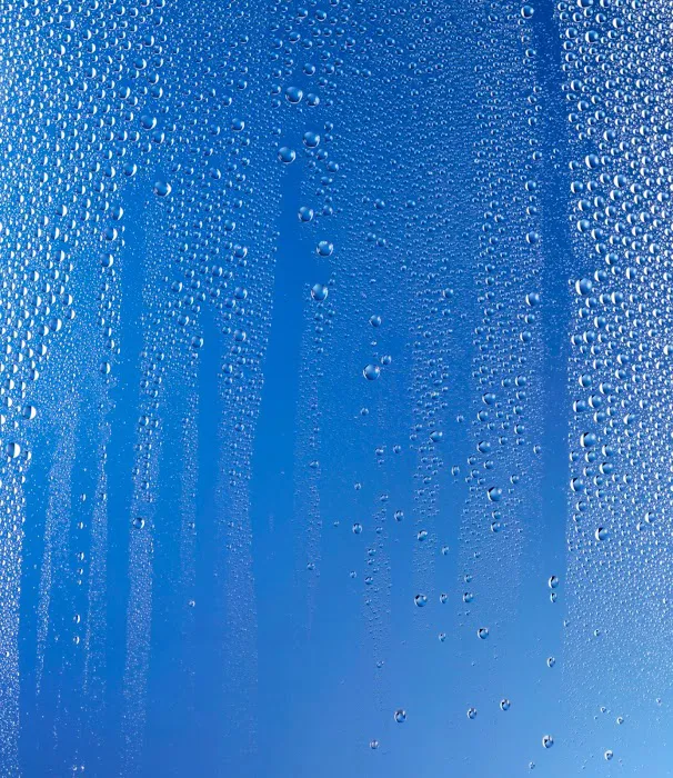 Delta Sonic Car Wash Picture 10