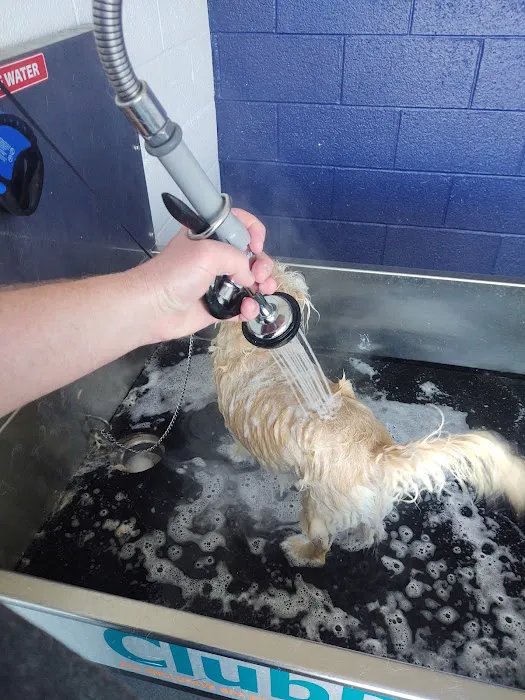 Rainstorm Car Wash Picture 7