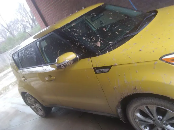 Skrubbs Car Wash Picture 1