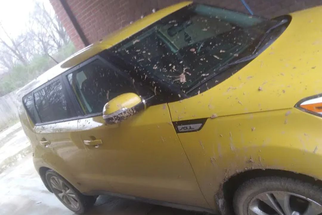 Skrubbs Car Wash