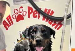 Great White Express Car Wash photo 3