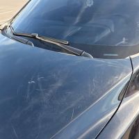 Champion Car Wash ico