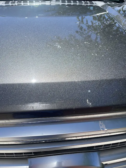 Wash N' Roll Picture 8