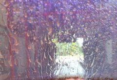 SpeedWash Car Wash photo 3