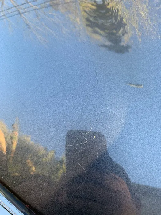 SpeedWash Car Wash Picture 8