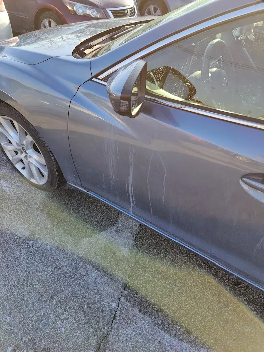 Mike's Carwash Picture 5