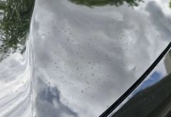 Oswego Super Wash photo 2