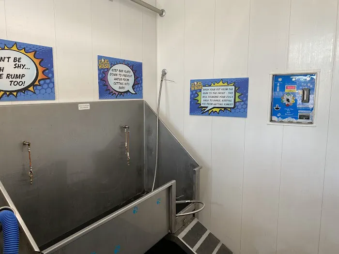 5 Star Carwash Picture 2