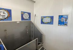 5 Star Carwash photo 2