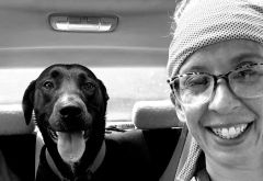 5 Star Carwash photo 3