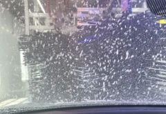 Dicky's Express Car Wash - Logansport photo 2