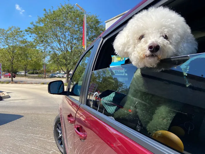 Crew Carwash Picture 1