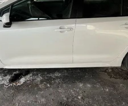 Tsunami Express - West Lafayette