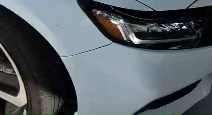 Tsunami Express - West Lafayette Picture 8