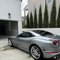 The Spotless Shine ico