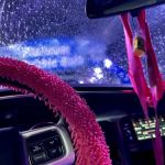 Wash N' Roll Car Wash - Franklin, TN