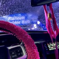 Wash N' Roll Car Wash - Franklin, TN ico