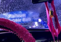 Wash N' Roll Car Wash - Franklin, TN photo 1