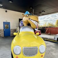 Camel Express Car Wash ico