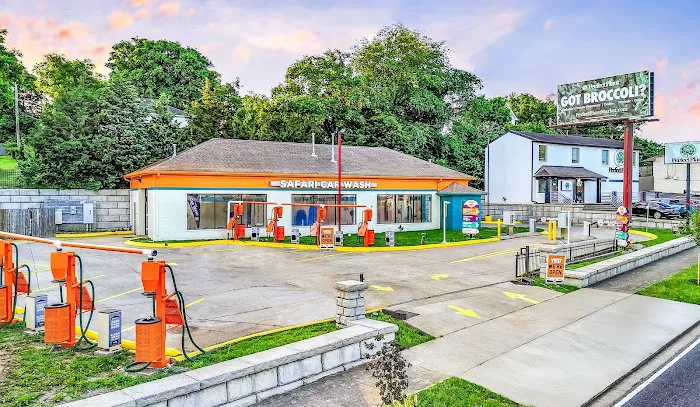 Safari Car Wash Picture 5