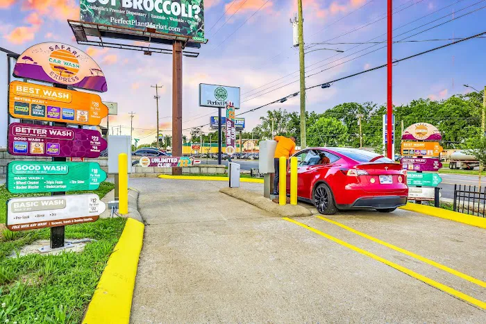 Safari Car Wash Picture 9