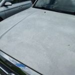 Wash N' Roll Car Wash - Nashville, TN (Bellevue)