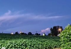 Smiths Grove Auto Wash photo 2