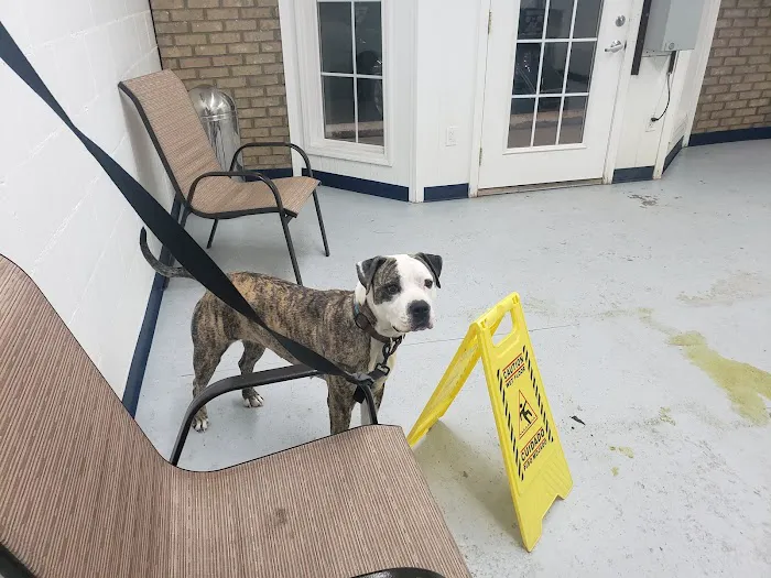 Als Car Wash Picture 1