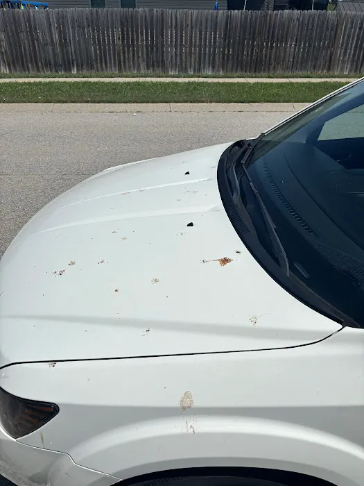 Fast Freddy's Car Wash Picture 3