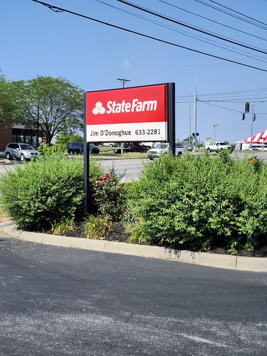 Shine On Your Time Picture 3