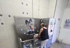 A&P Car Wash photo 2