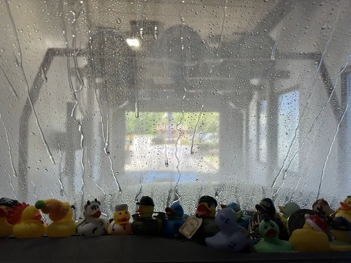 Main Street Express Wash Picture 5